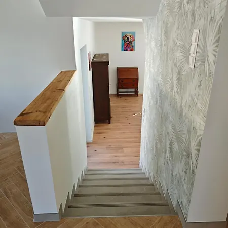 Waldoase Fuer 11 Personen Und Max 2 Hunde Im Nationalpark Eifel In Lage 아파트