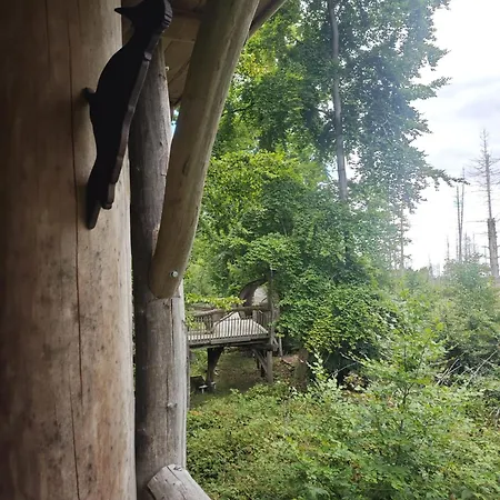 아파트 Waldoase Fuer 11 Personen Und Max 2 Hunde Im Nationalpark Eifel In Lage 슈라이덴