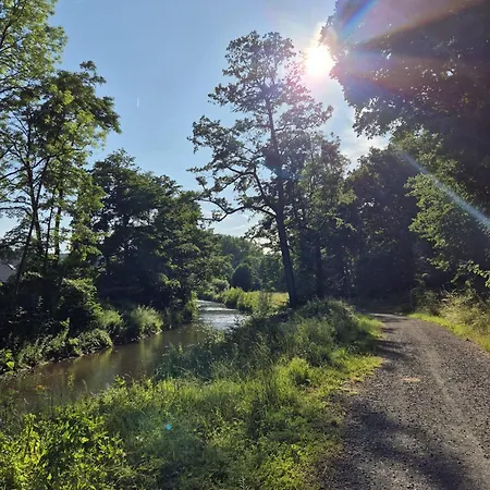 Waldoase Fuer 11 Personen Und Max 2 Hunde Im Nationalpark Eifel In Lage * 슈라이덴