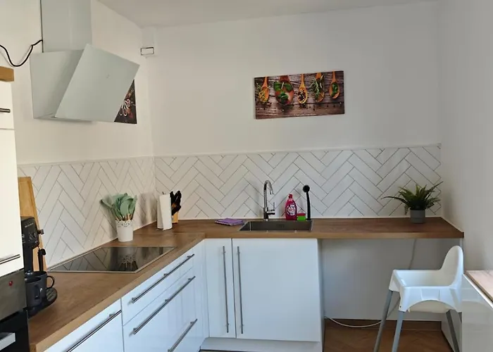 Appartamento Waldoase Fuer 11 Personen Und Max 2 Hunde Im Nationalpark Eifel In Lage