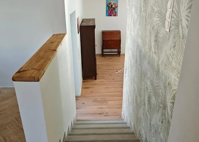 Waldoase Fuer 11 Personen Und Max 2 Hunde Im Nationalpark Eifel In Lage Appartamento