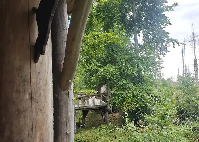 Appartamento Waldoase Fuer 11 Personen Und Max 2 Hunde Im Nationalpark Eifel In Lage Schleiden