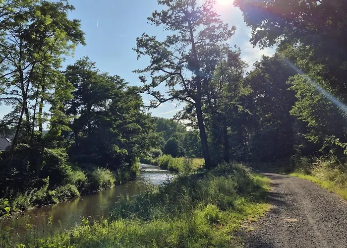 Waldoase Fuer 11 Personen Und Max 2 Hunde Im Nationalpark Eifel In Lage * Schleiden